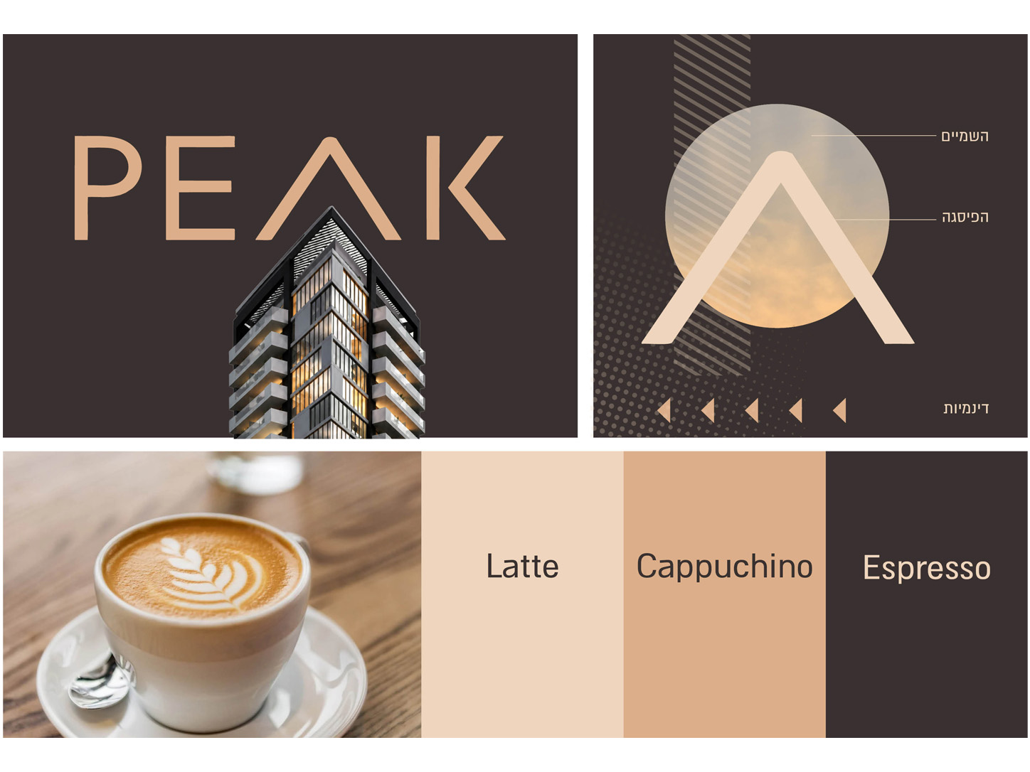 Peak logo system and variations